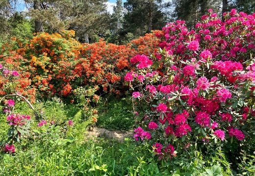 23-06-03 16-33-05 5780